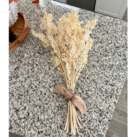 Dried Italian Ruscus White - Picture 4 of 6